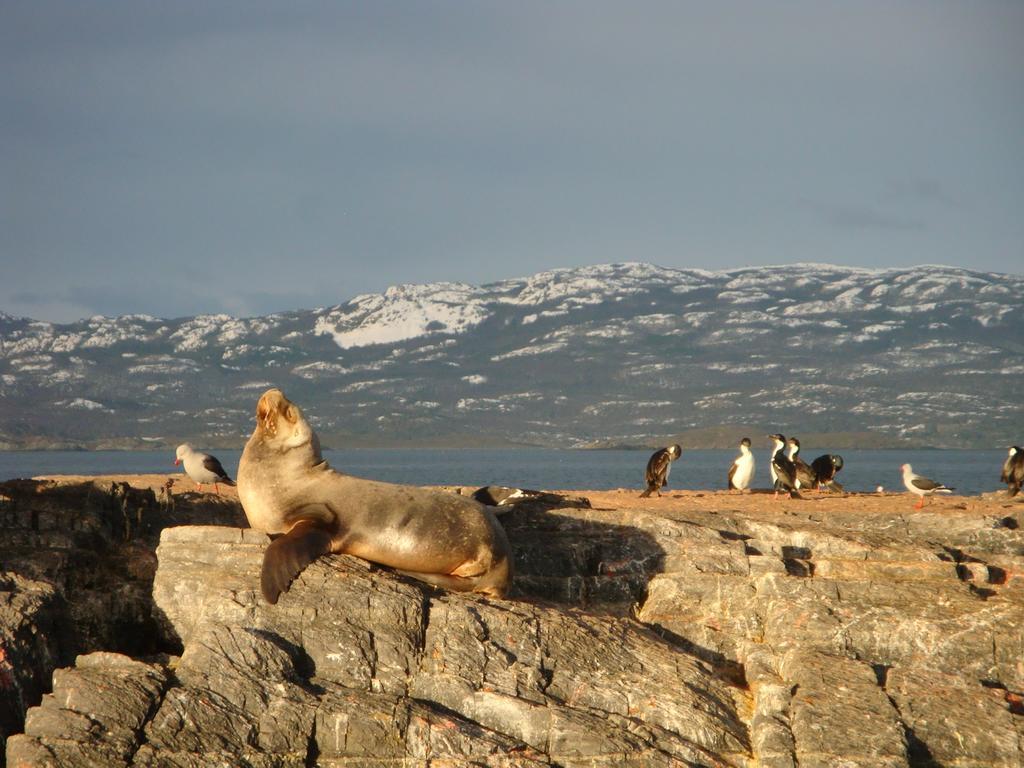 Bagu Ushuaia Hotel Eksteriør bilde